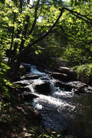 Summer Stream Summer Stream